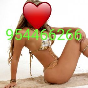 954466266  SEXO A DOMICILIOS HOTELES DESPEDÍAS DE SOLTEROS TODA LA NOCHE 