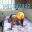CATA FOTOS REALES WHATSAPP 945649326 LLAMA YA BB