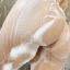 Placer sensual exquisito momento duales 4 manos 